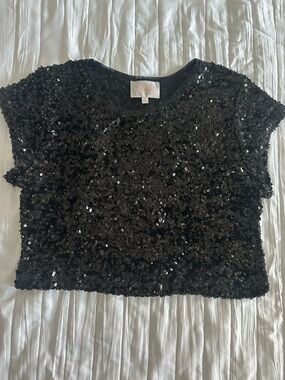 audrey parks Francesca’s Black Sequin Crop Top with Short Sleeves